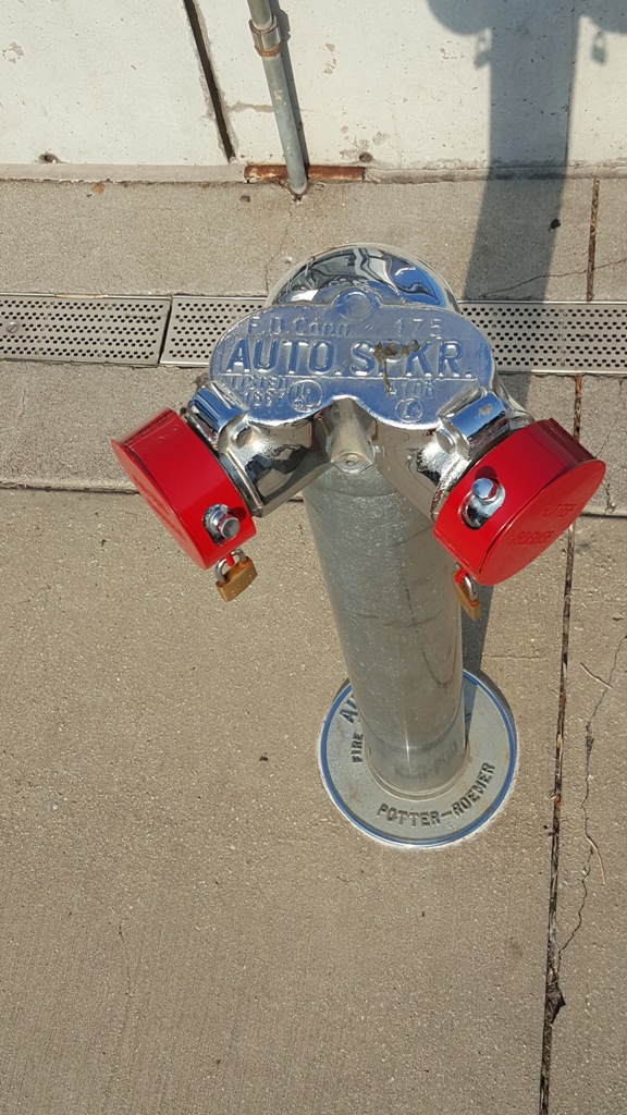 Photo Album View Potter Roemer